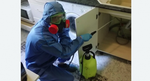 Уничтожение муравьев в квартире. Волчанск