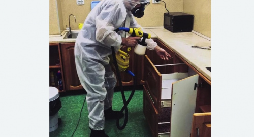 Дезинсекция квартиры. Волчанск