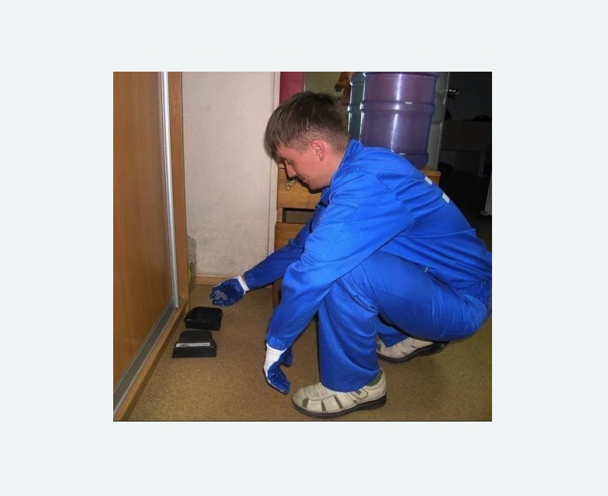 Дератизация крыс в Волчанске