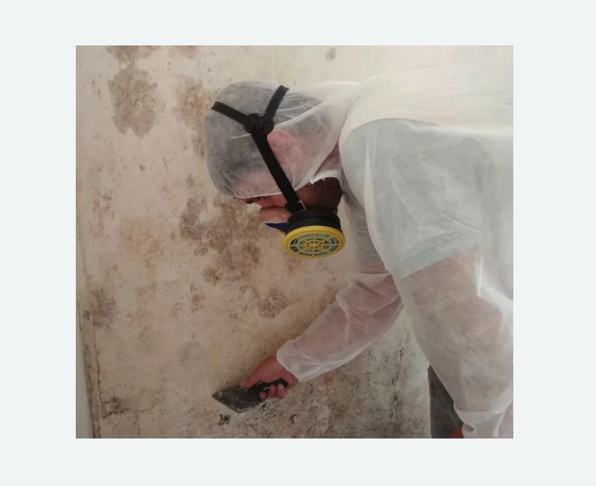 Обработка стен от плесени в Волчанске