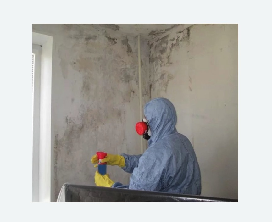 Удаление плесени в квартире в Волчанске