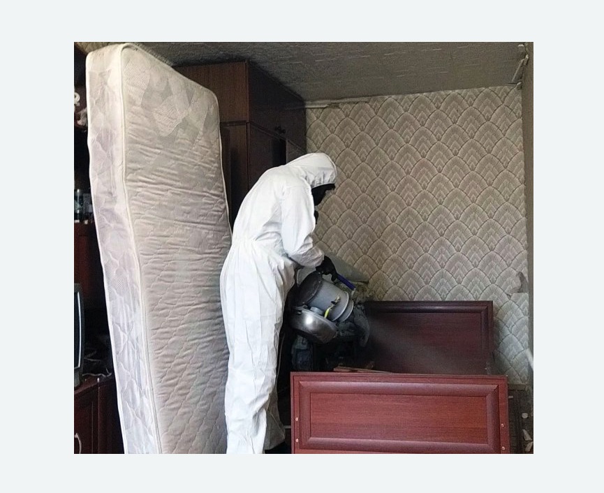 дезинфекция от клопов в Волчанске