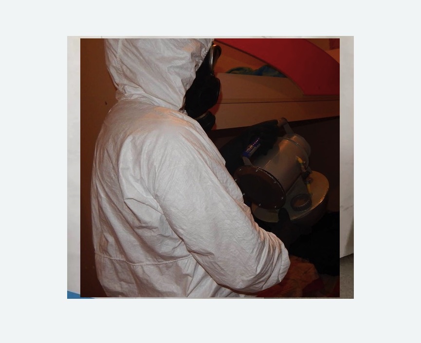 Дезинфекция от муравьев в Волчанске